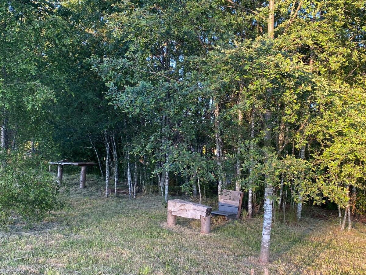 Comoda Parcela Entorno Natural Вильяррика Экстерьер фото